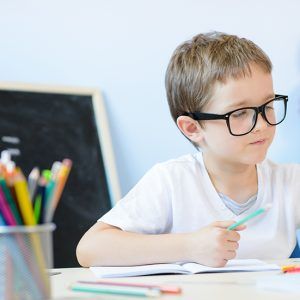 Wisc-r Zeka Testi Eğitimi