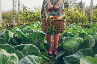Organik Tarım Yetiştiriciliği  Eğitimi