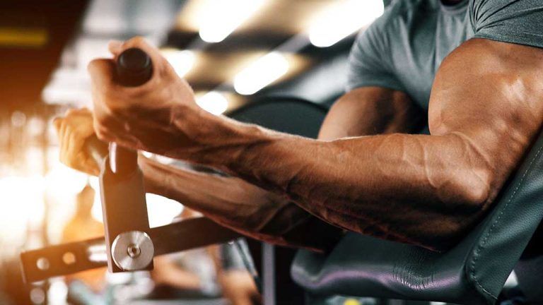 Fitness Eğitmeni Sertifikası