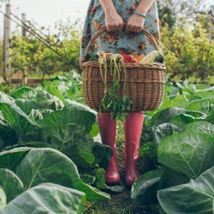 Organik Tarım Yetiştiriciliği Eğitimi