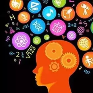 Üniversite Onaylı Akıl-Zeka Oyunları Sertifikası