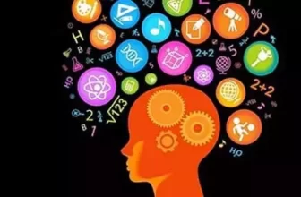 Akıl Zeka Oyunları ve Satranç Eğitmenliği 2. Kademe Akıl Zeka Oyunları Eğitimi Online