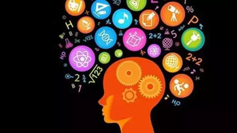 Üniversite Onaylı Akıl-Zeka Oyunları Sertifikası